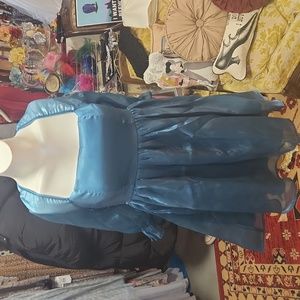 Thirty thirty princess dress